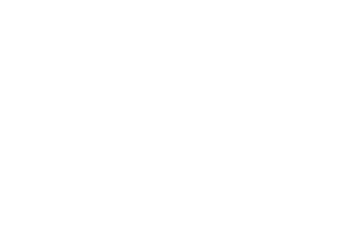 Zinkerz